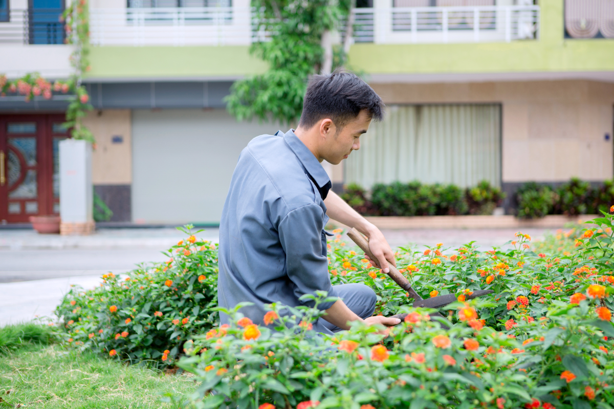 Tại sao phải chọn đơn vị thi công cảnh quan cây xanh chất lượng?