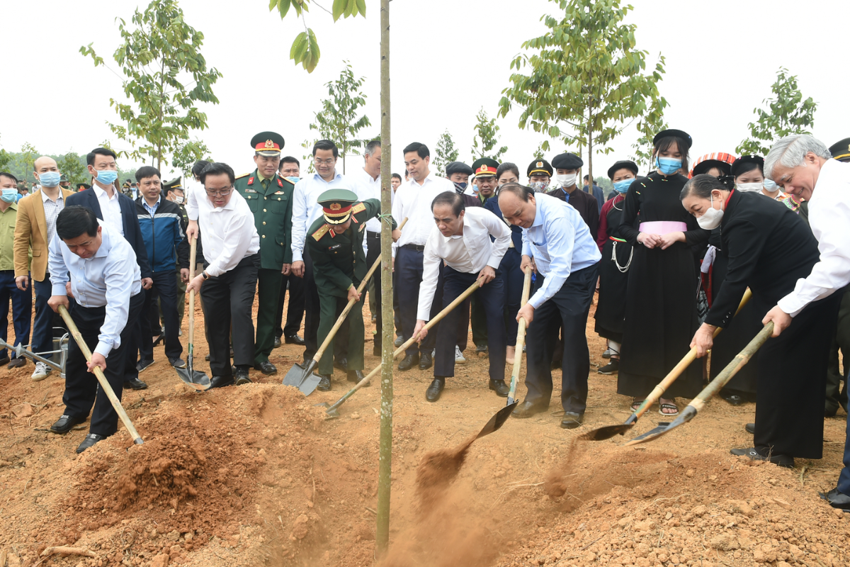 Đặc Điểm Về Cấu Trúc Và Thành Phần Của Đất Cát