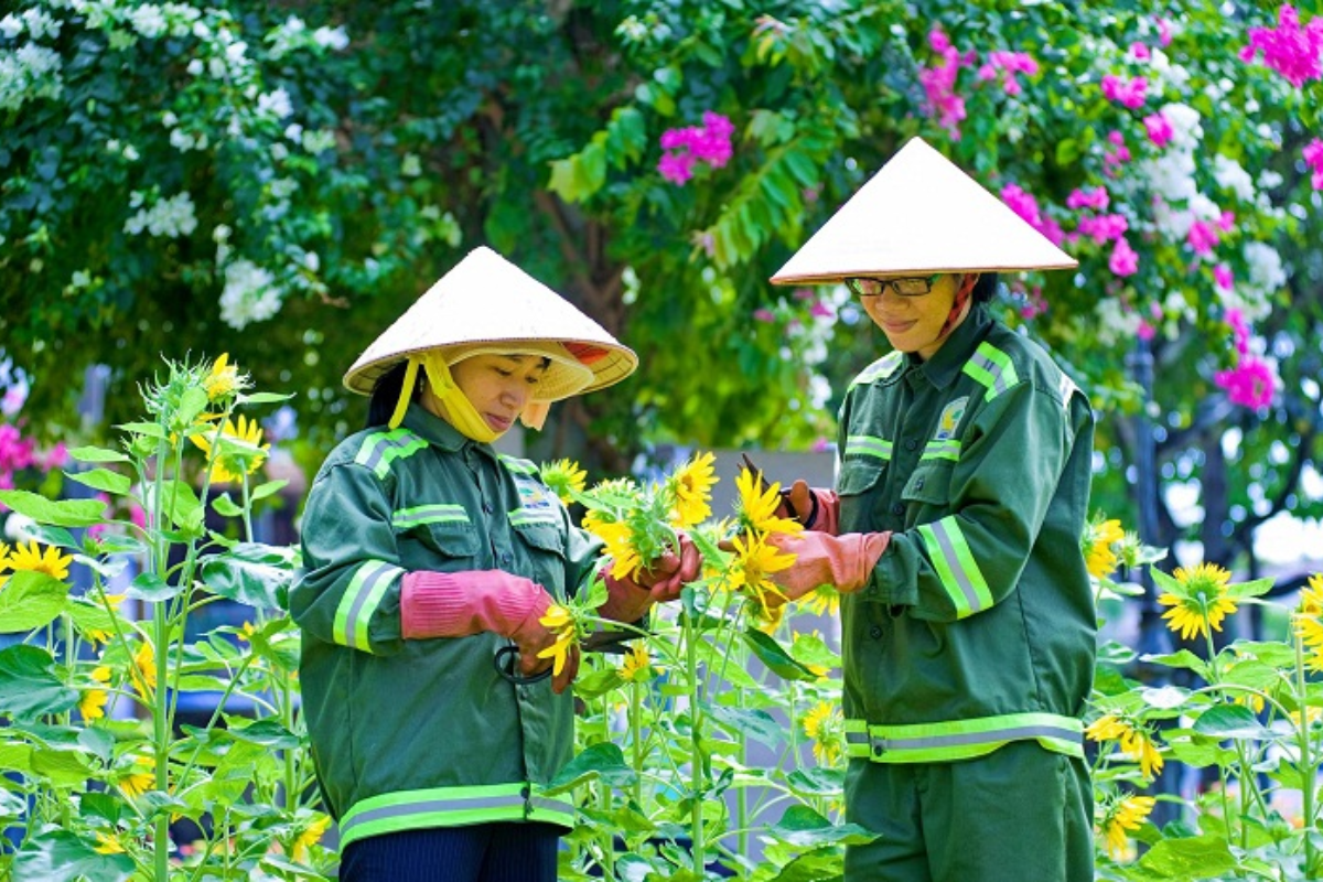 Công ty thi công cây xanh ở TPHCM